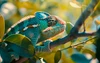 shutterstock_2459191461 (1)