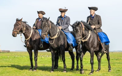 mesterségek
