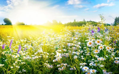shutterstock_2228977527
