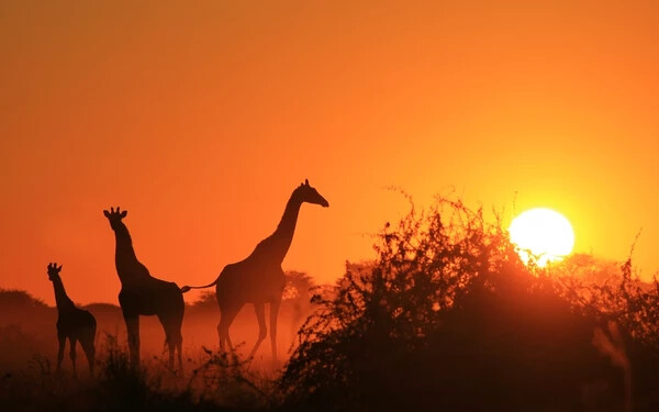 shutterstock_299726738