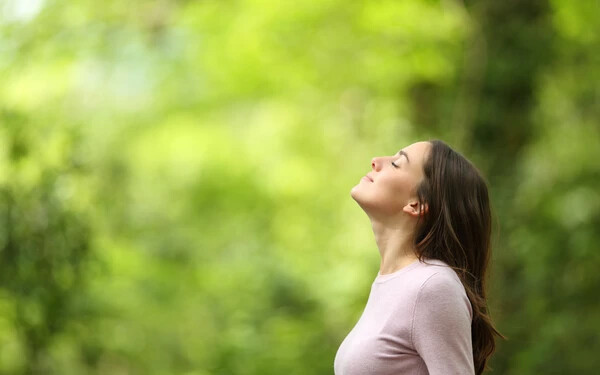 shutterstock_1962372739