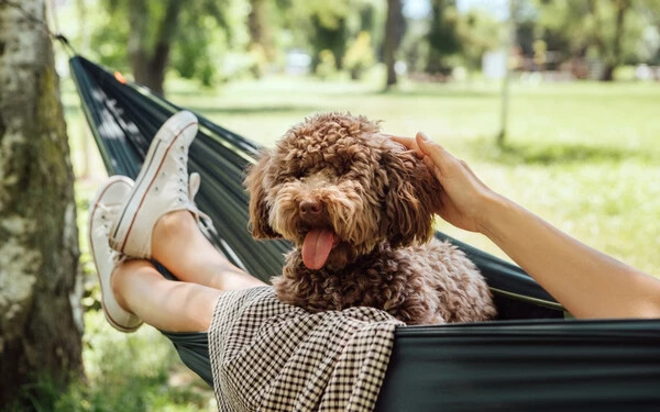 shutterstock_2478256117